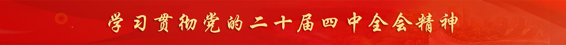 學習貫徹黨的二十屆四中全會精神